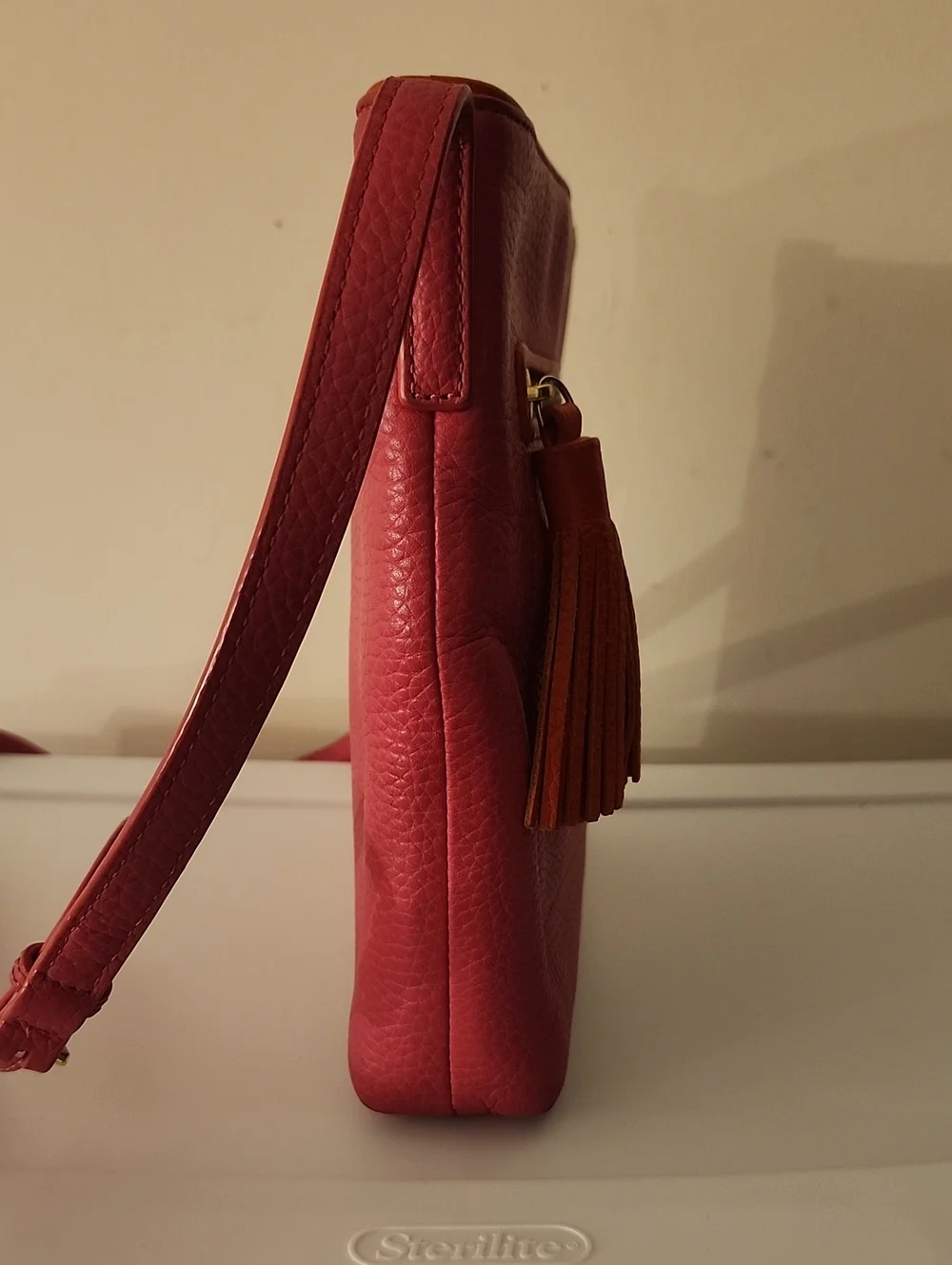 Kate Spade Chester St Dessi Crossbody w/Free Juicy Wallet